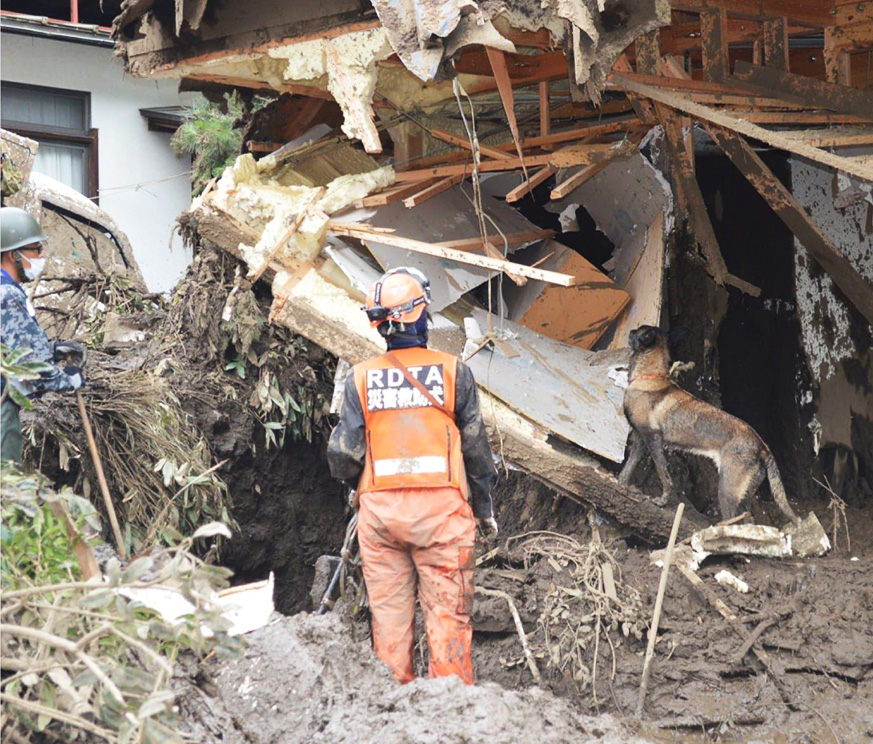 ドッグトレーニングスクール